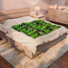 Neon Grin Velveteen Plush Blanket